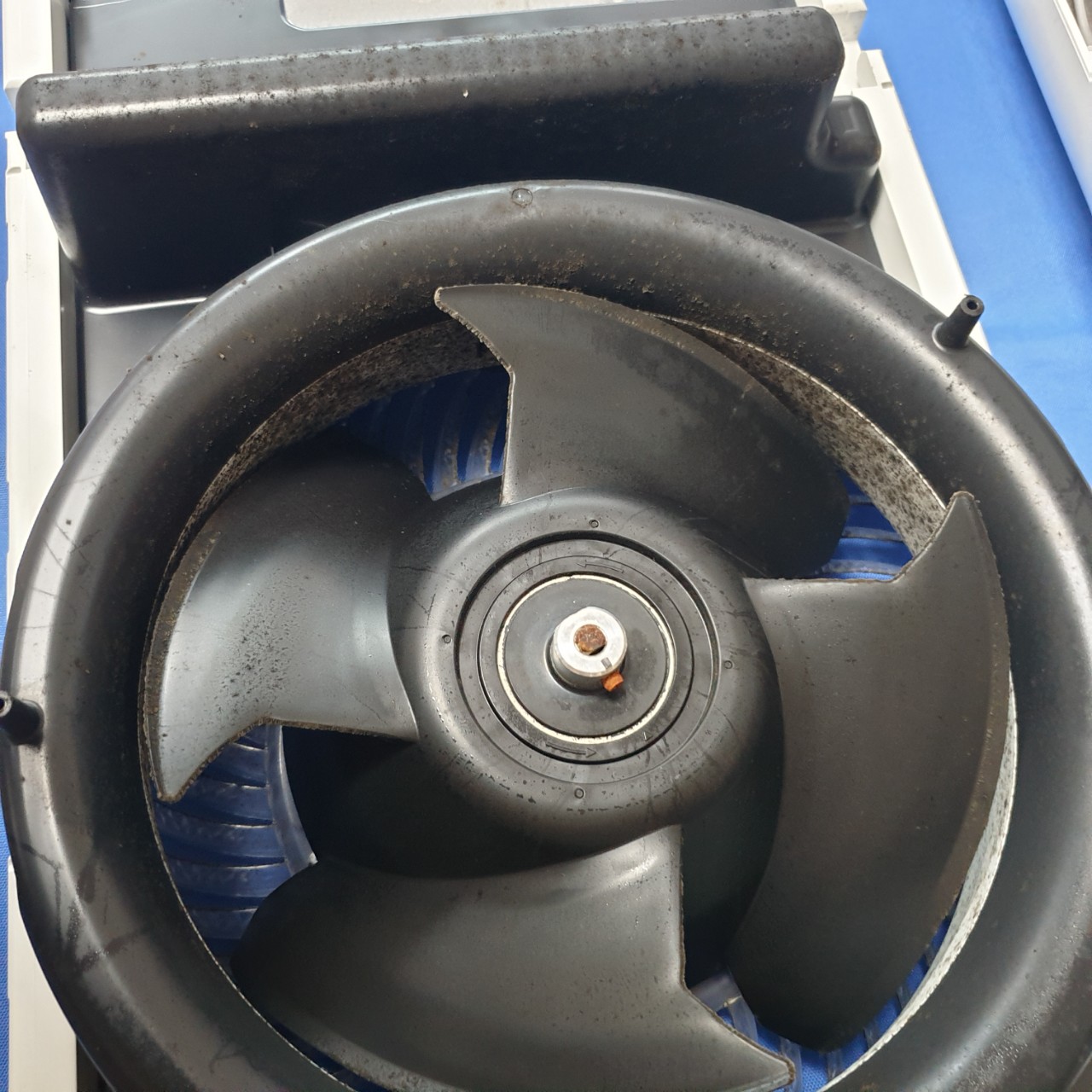 더건강한홈케어 PC 이미지 955621