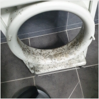 더건강한홈케어 PC 갤러리 1